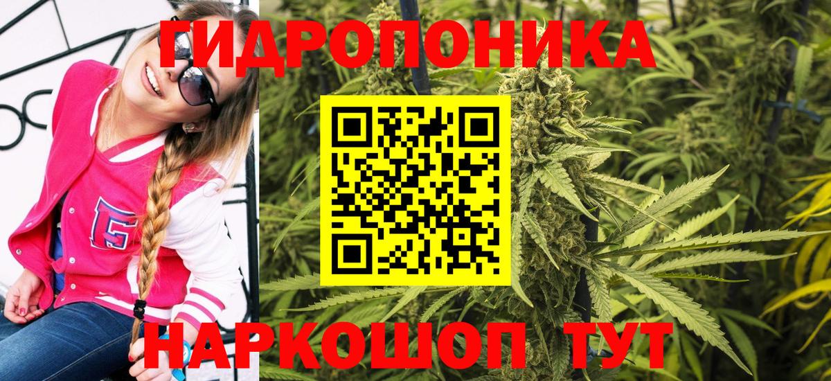 Шишки марихуана индика Саратов
